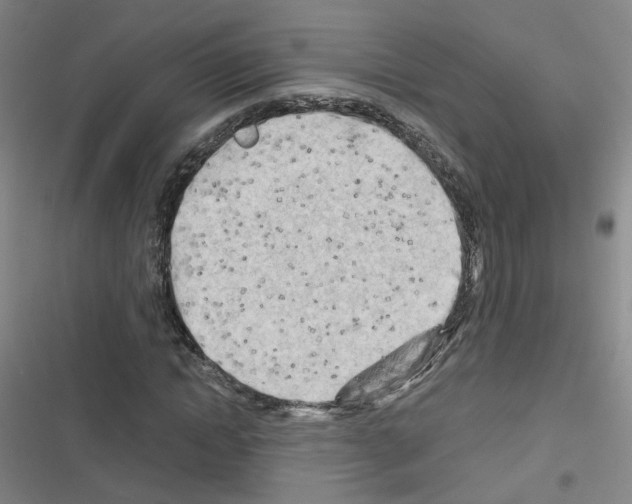 X0000116640822201001251134