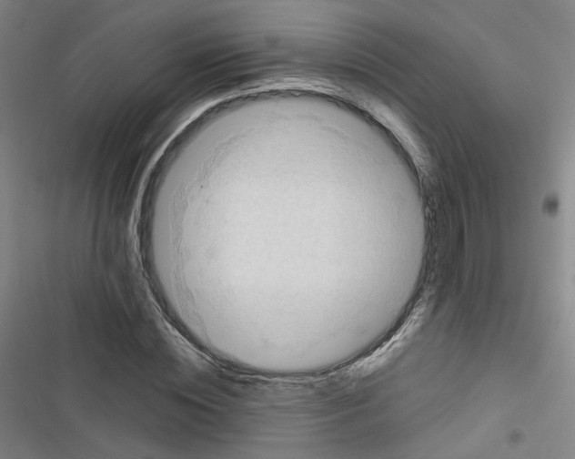 X0000116640828201001251134