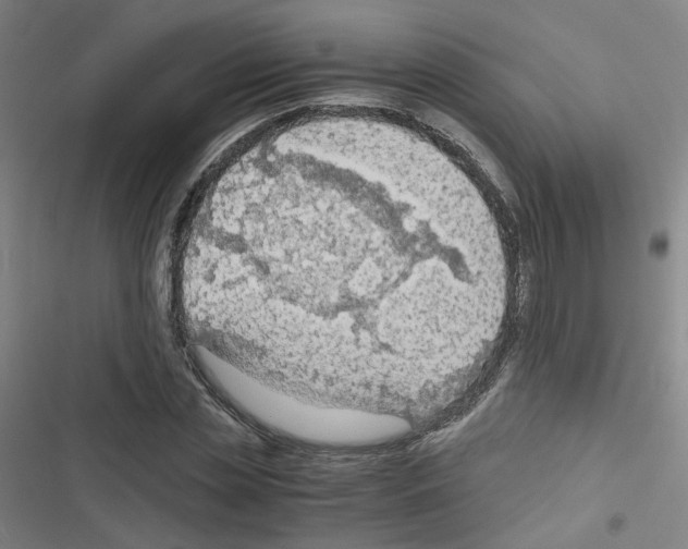 X0000116640829201001251134