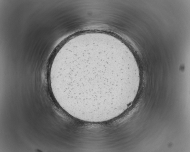 X0000116640830201001251134