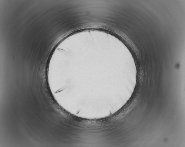 X0000116640834201001251134