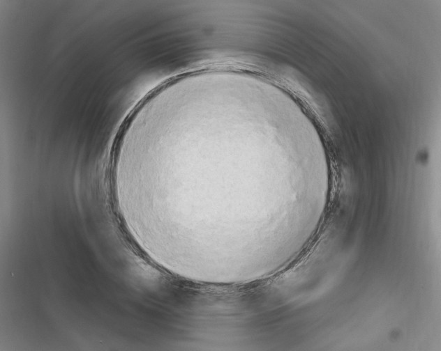 X0000116640836201001251134