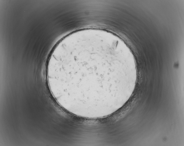 X0000116640838201001251134