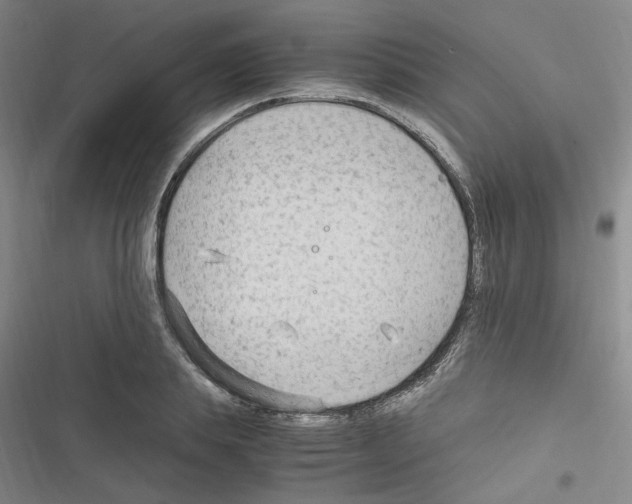 X0000116640839201001251134