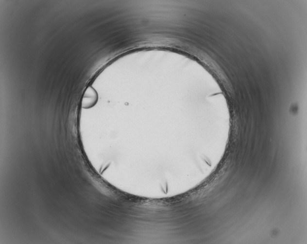 X0000116640842201001251134