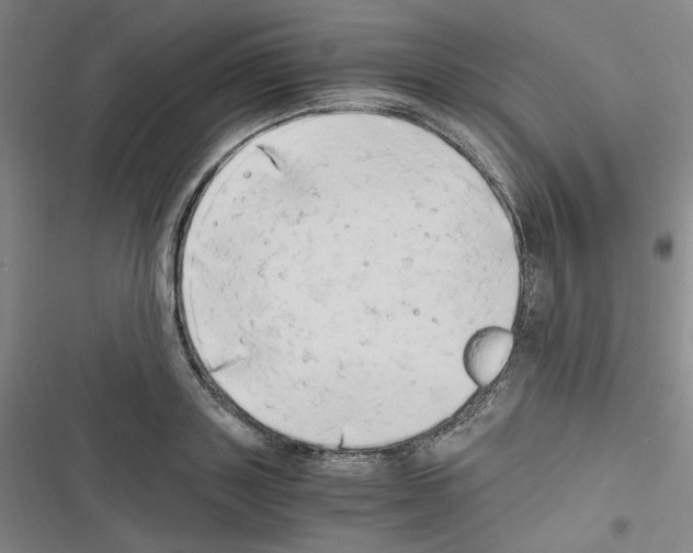 X0000116640843201001251134