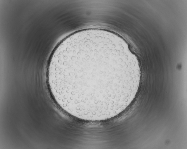 X0000116640846201001251134