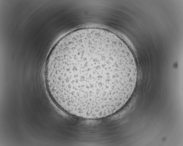 X0000116640847201001251134