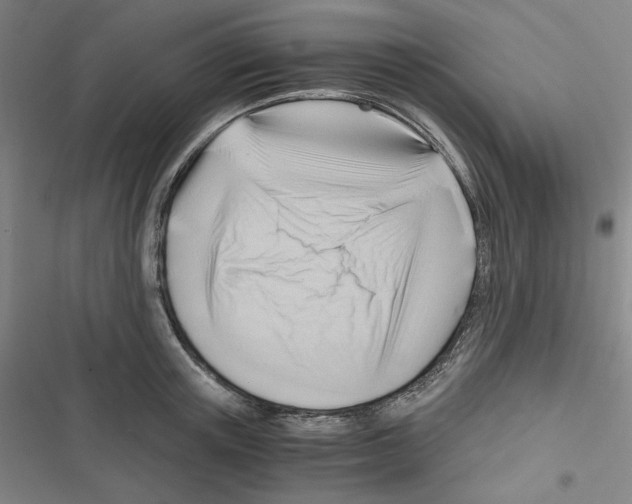 X0000116640851201001251134