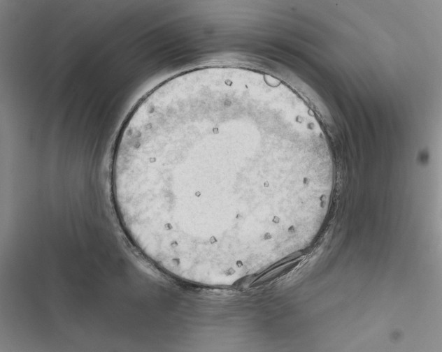 X0000116640854201001251134