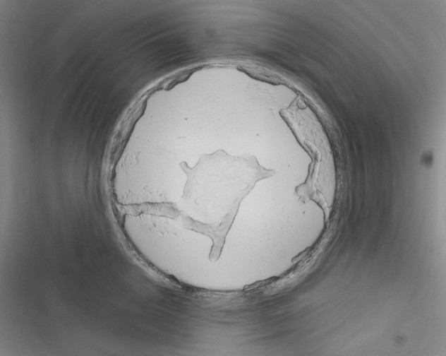 X0000116640856201001251134