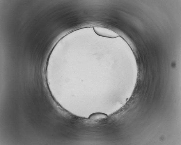 X0000116640861201001251134