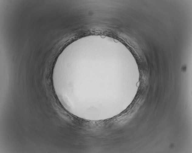 X0000116640865201001251134