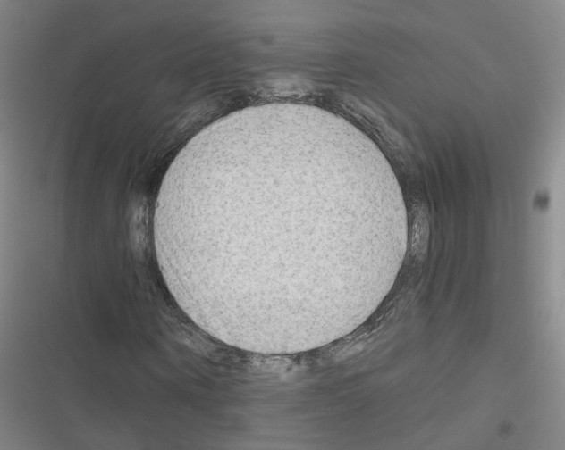 X0000116640866201001251134