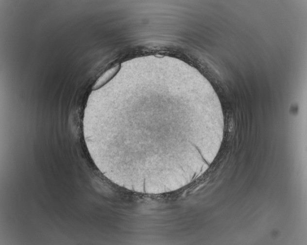 X0000116640868201001251134