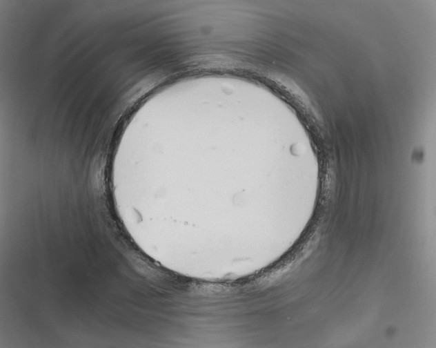 X0000116640873201001251134