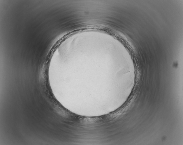 X0000116640875201001251134