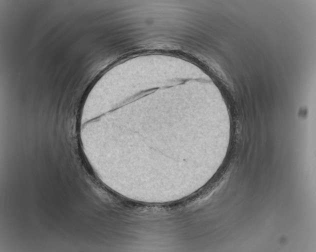 X0000116640881201001251134