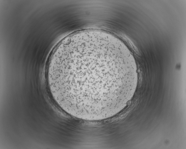 X0000116640884201001251133