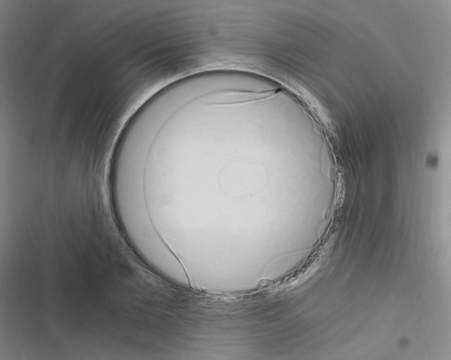 X0000116640885201001251133