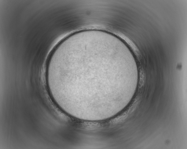 X0000116640886201001251133