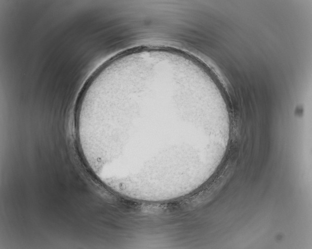 X0000116640887201001251133