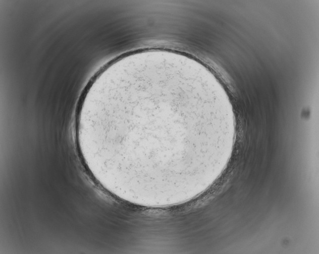 X0000116640888201001251133