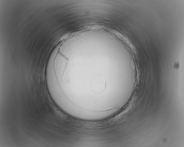 X0000116640889201001251133