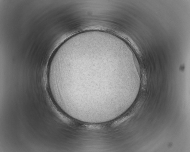 X0000116640890201001251133