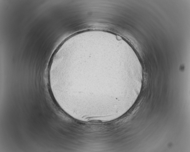 X0000116640891201001251133