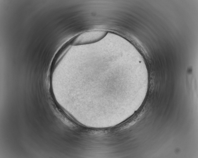 X0000116640892201001251133