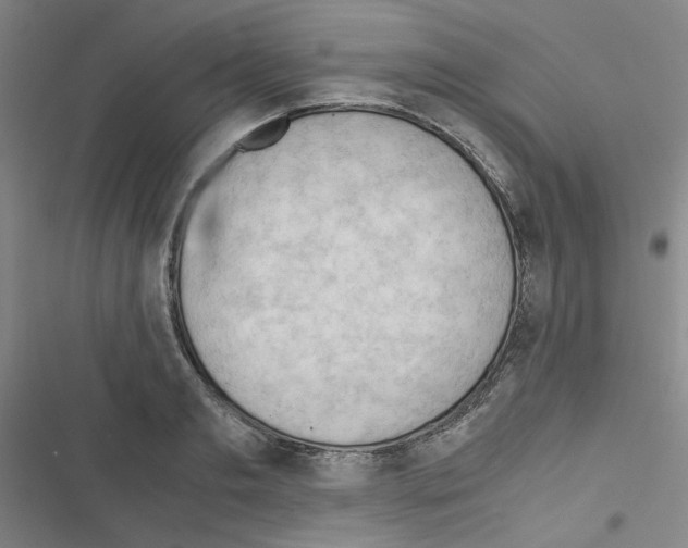 X0000116640893201001251133