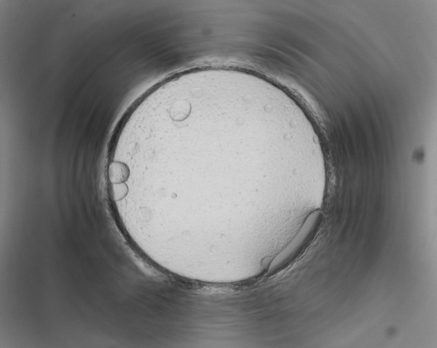 X0000116640894201001251133