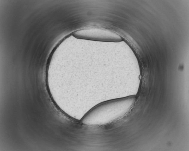 X0000116640896201001251133