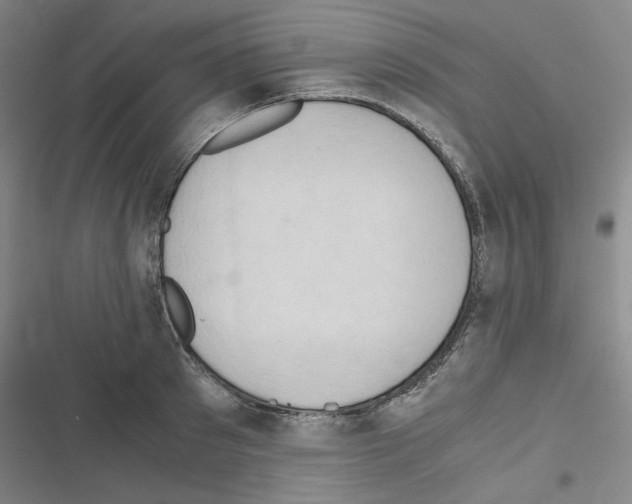 X0000116640897201001251133