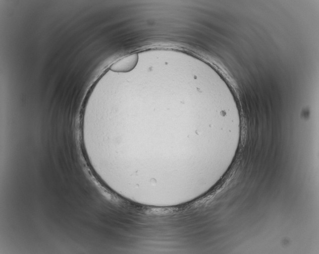 X0000116640898201001251133