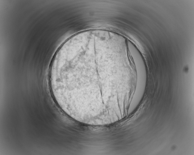 X0000116640899201001251133