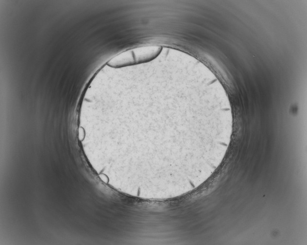 X0000116640900201001251133