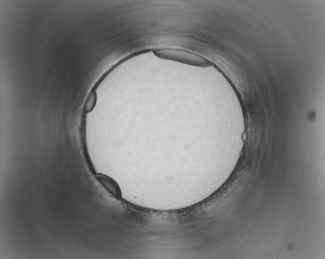 X0000116640901201001251133