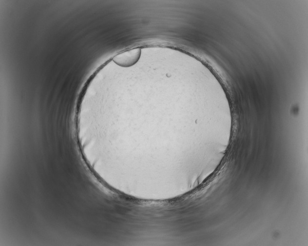 X0000116640902201001251133