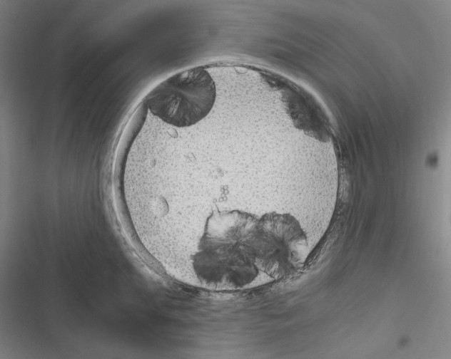 X0000116640903201001251133