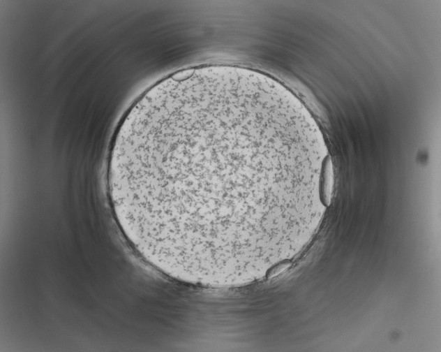 X0000116640904201001251133