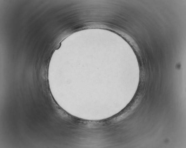 X0000116640905201001251133