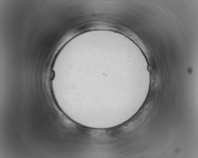 X0000116640909201001251133