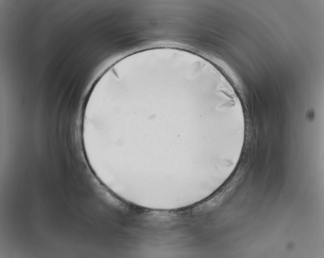 X0000116640910201001251133