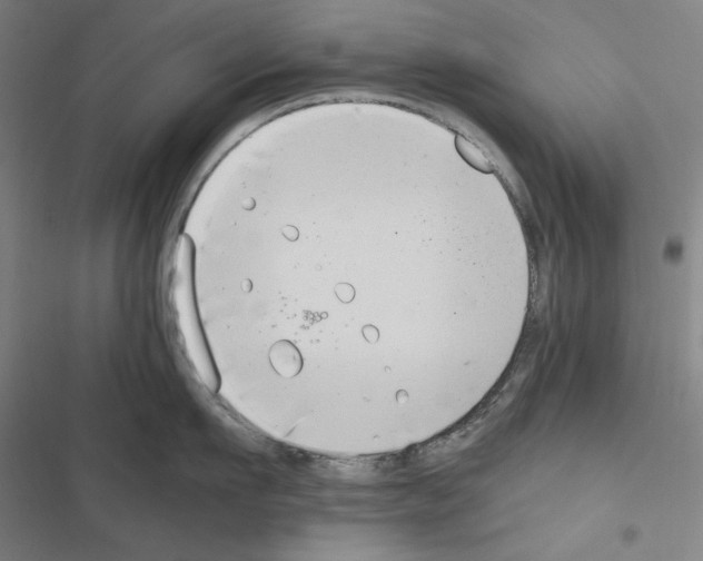 X0000116640911201001251133