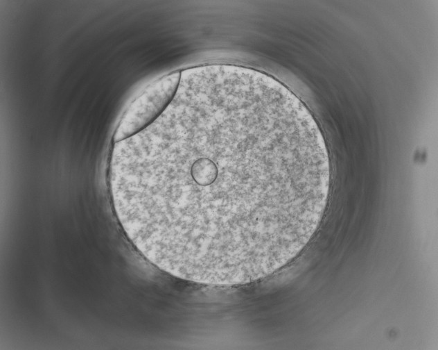 X0000116640912201001251133