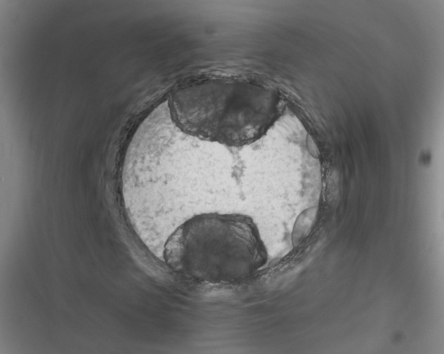 X0000116640913201001251132