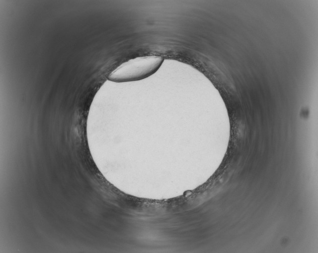 X0000116640914201001251132