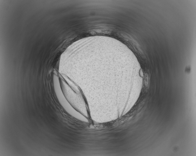 X0000116640915201001251132